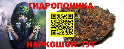 молекула духа Ачхой-Мартан