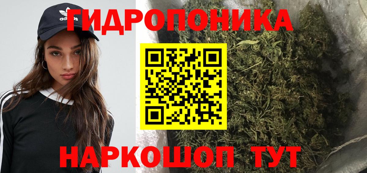 Бошки марихуана планчик Кисловодск